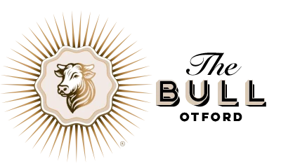 the-bull-logo-horizantal